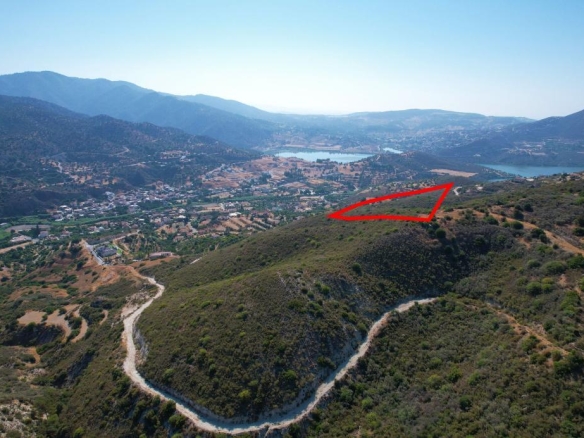 Field in Akrounta, Limassol