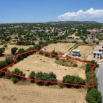 Field in Anogyra, Limassol