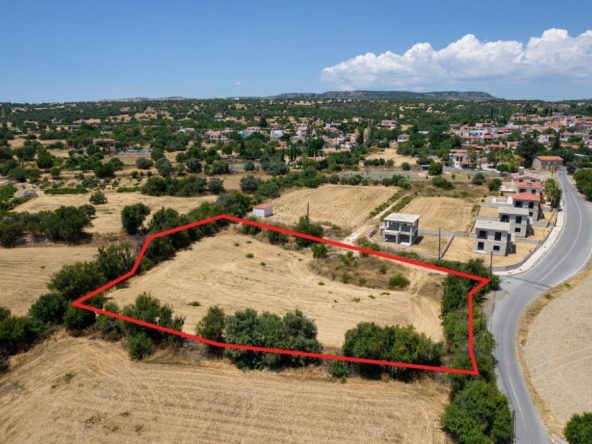 Field in Anogyra, Limassol
