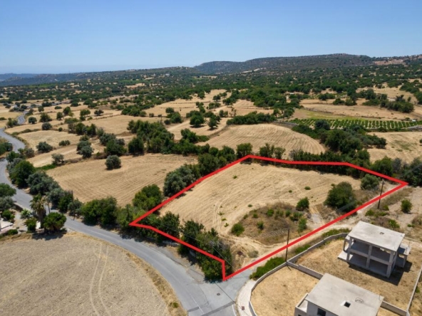 Field in Anogyra, Limassol