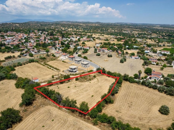 Field in Anogyra, Limassol