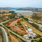 Shared field in Mandria, Paphos