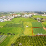 Field in Frenaros, Famagusta
