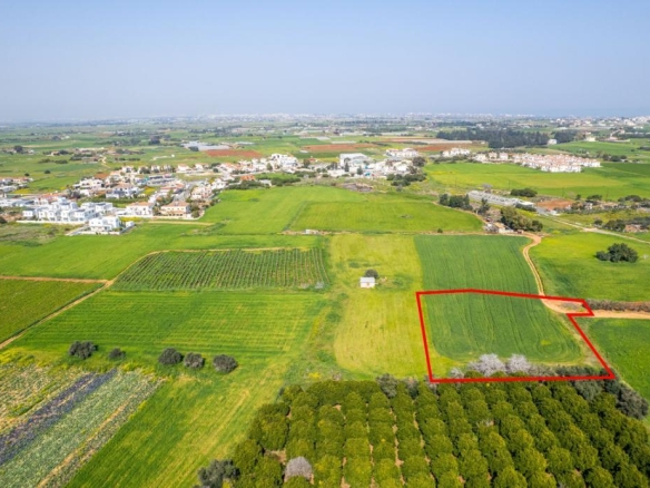 Field in Frenaros, Famagusta