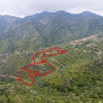 Field in Agioi Vavatsinias, Larnaca