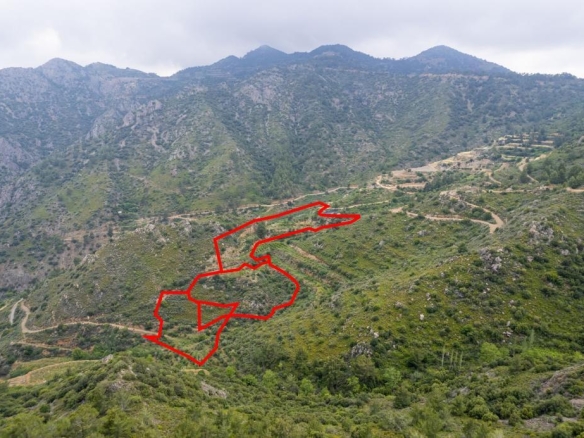 Field in Agioi Vavatsinias, Larnaca