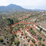 Field in Anglisides, Larnaca