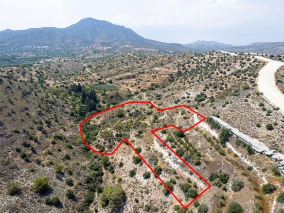 Field in Anglisides, Larnaca