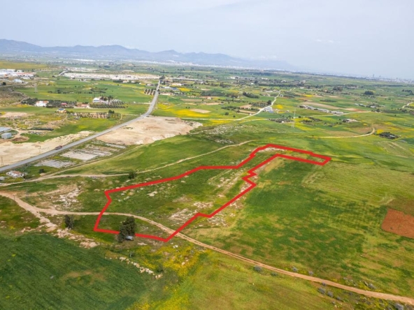 Field in Palaiometocho, Nicosia
