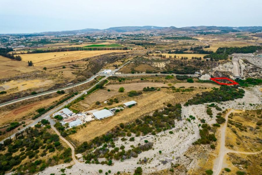 Shared field in Mandria, Paphos