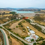 Shared field in Mandria, Paphos